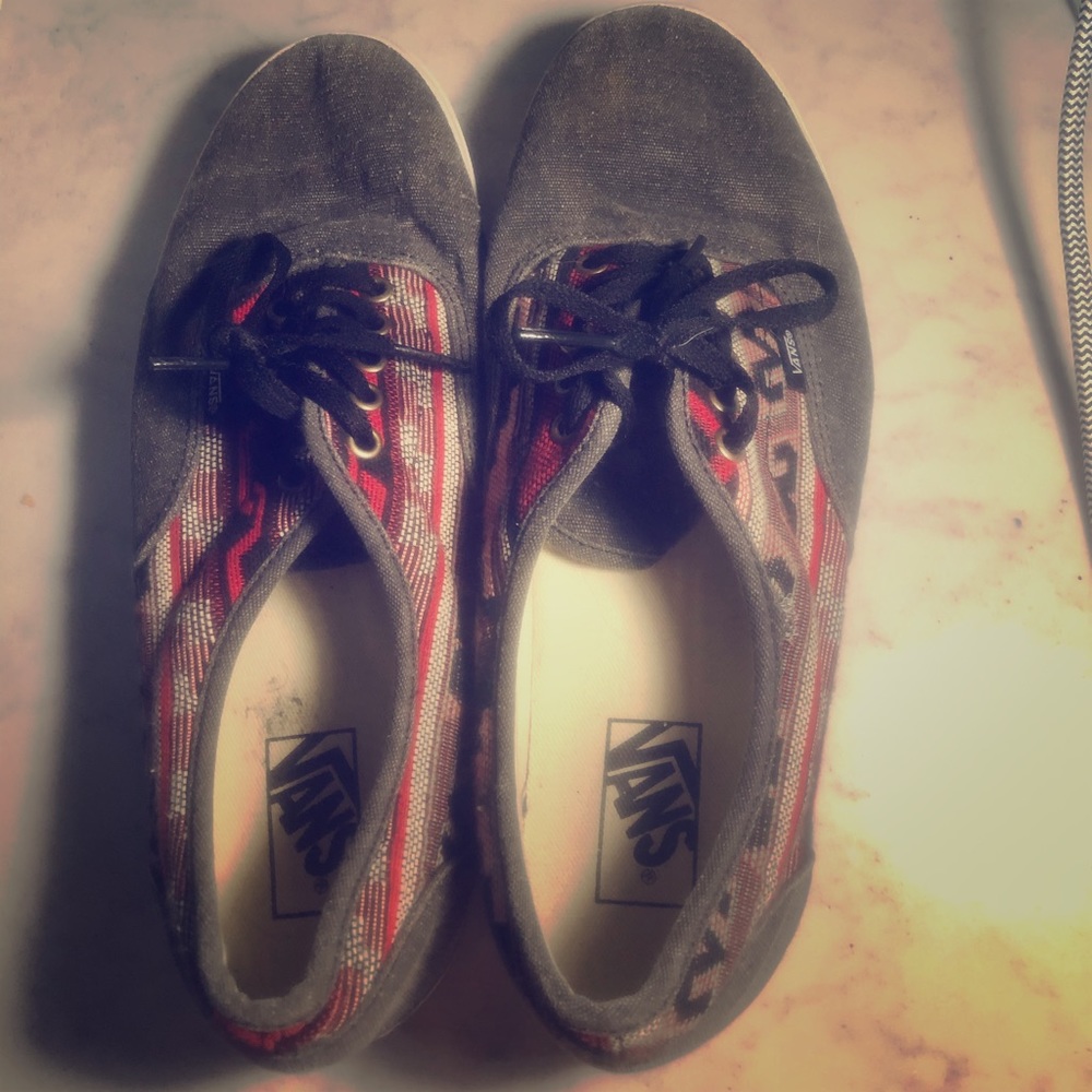 Vans Skater Kicks